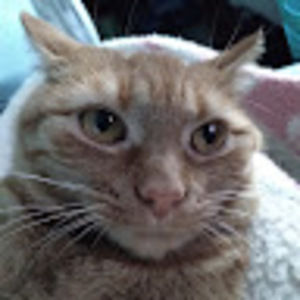 Meet your Posher, Kassidy